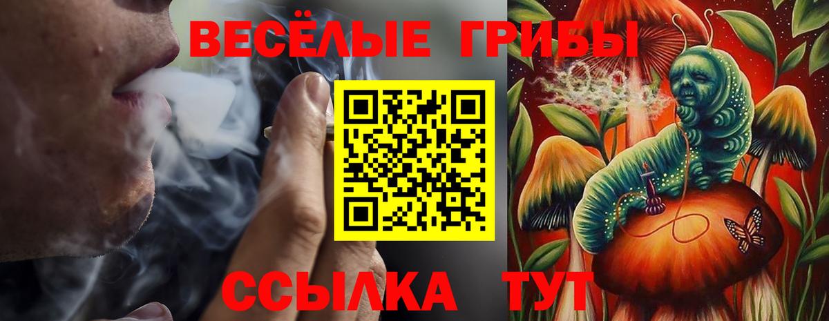 Псилоцибиновые грибы GOLDEN TEACHER  Псилоцибиновые грибы GOLDEN TEACHER  Вход с VPN  Златоуст 
